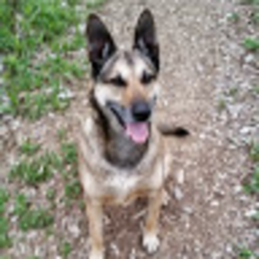 Meet your Posher, Jeanette